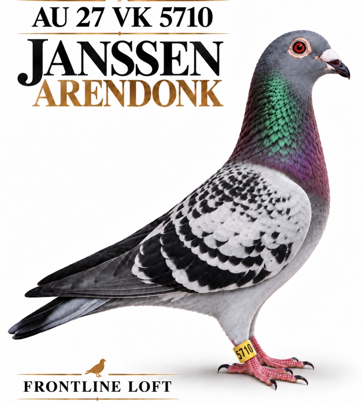 JANSSEN ARENDONK 