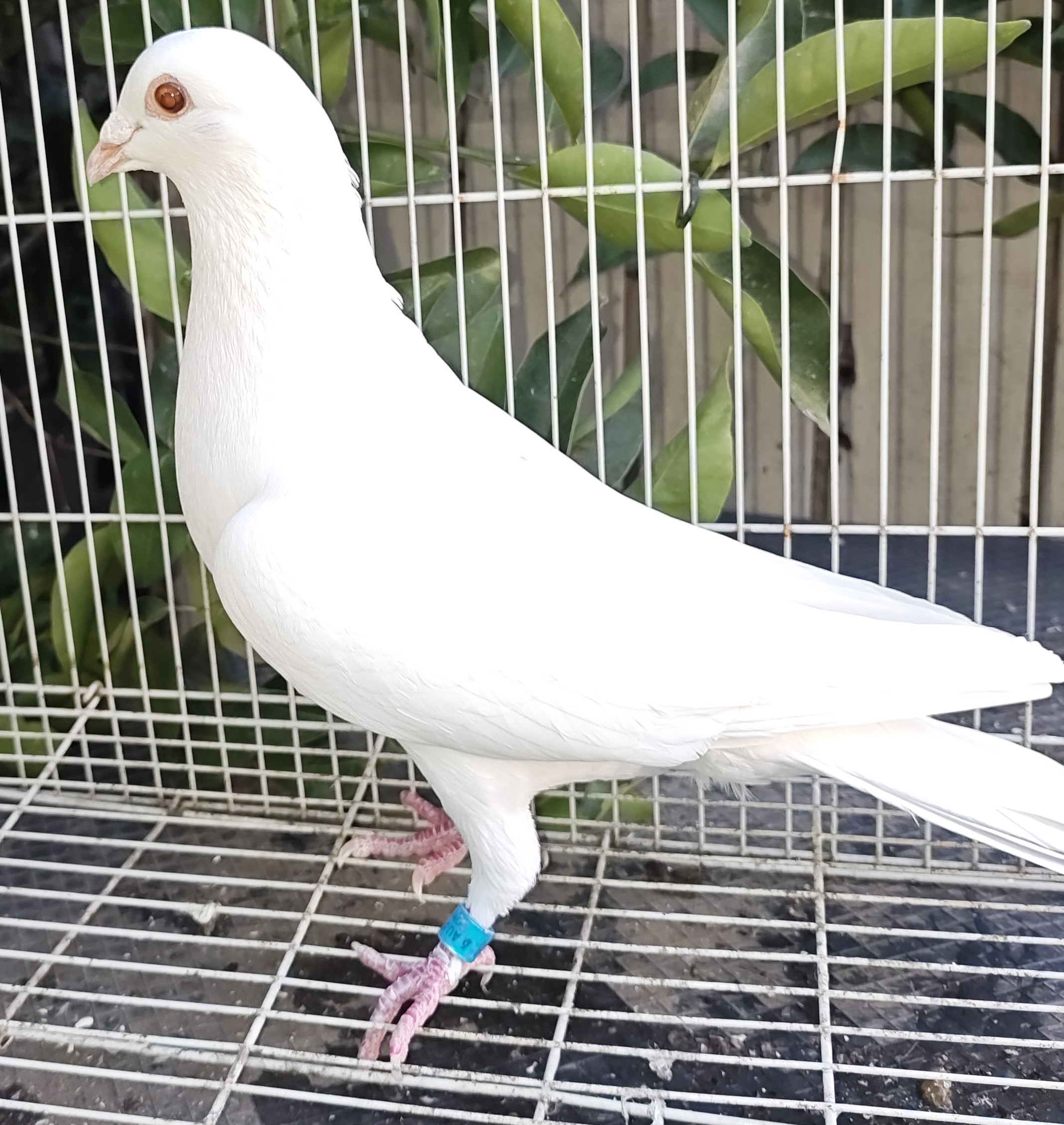 Gaby Vandenabeele x Hofkens