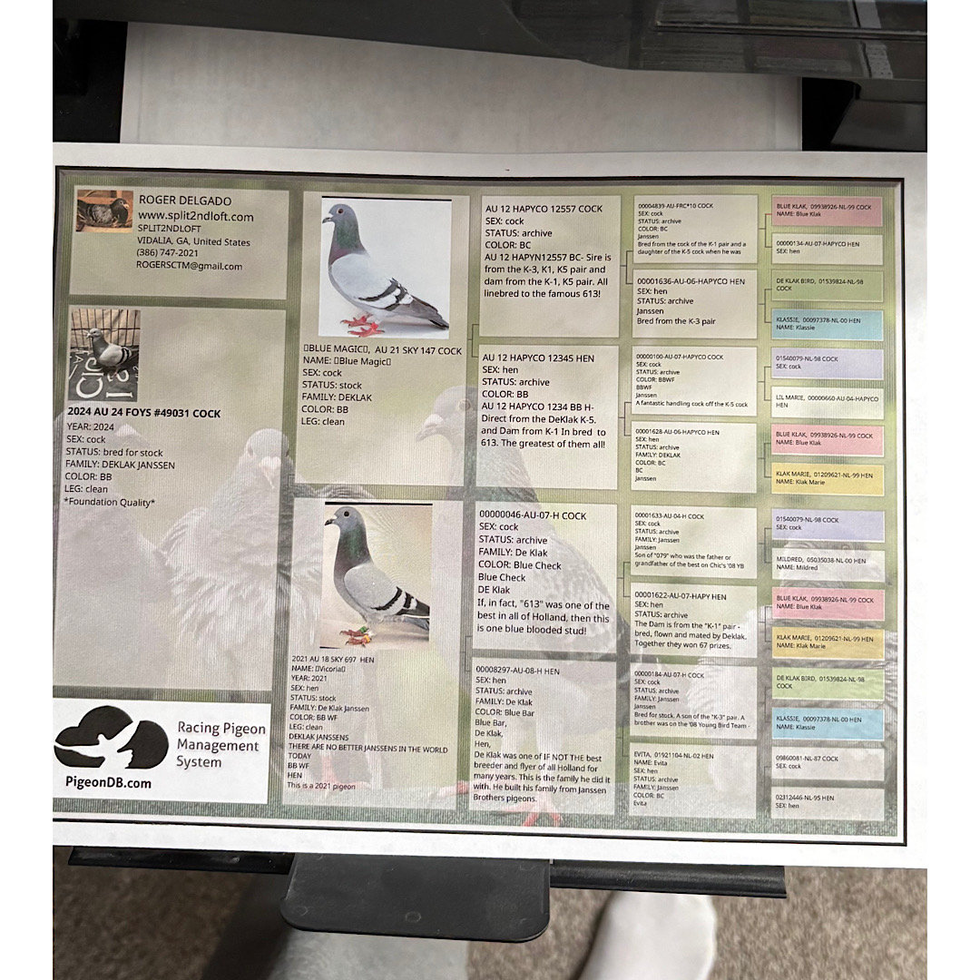 Preview Image 2
