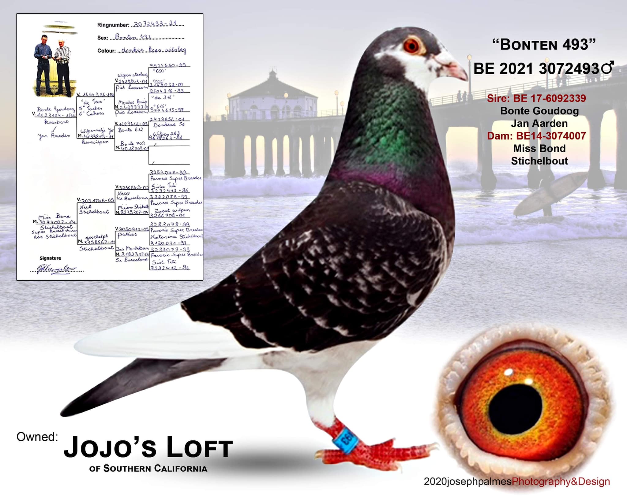 2021 BE 3072493  BONTEN 493 DCPD C