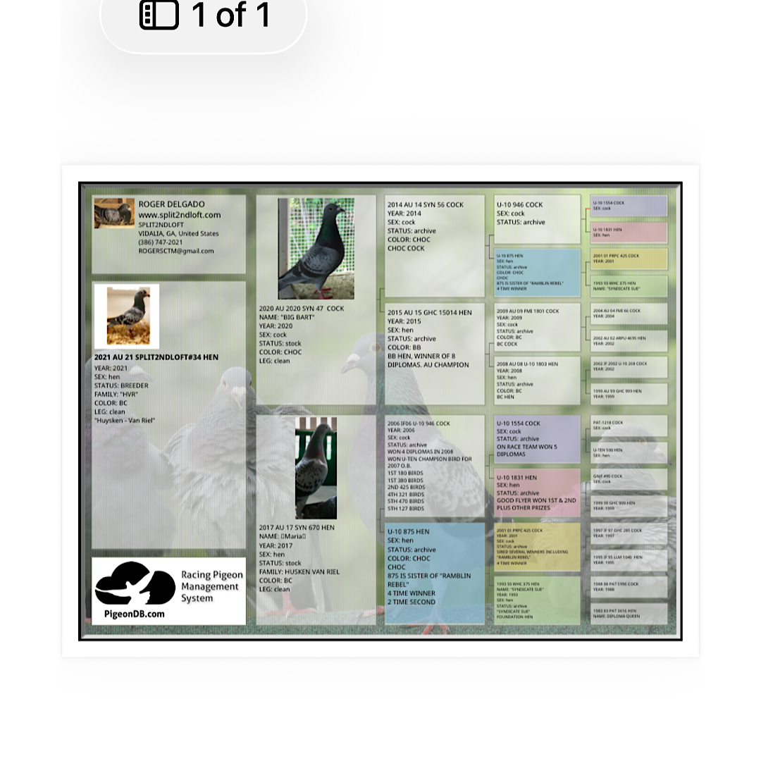 Preview Image 5