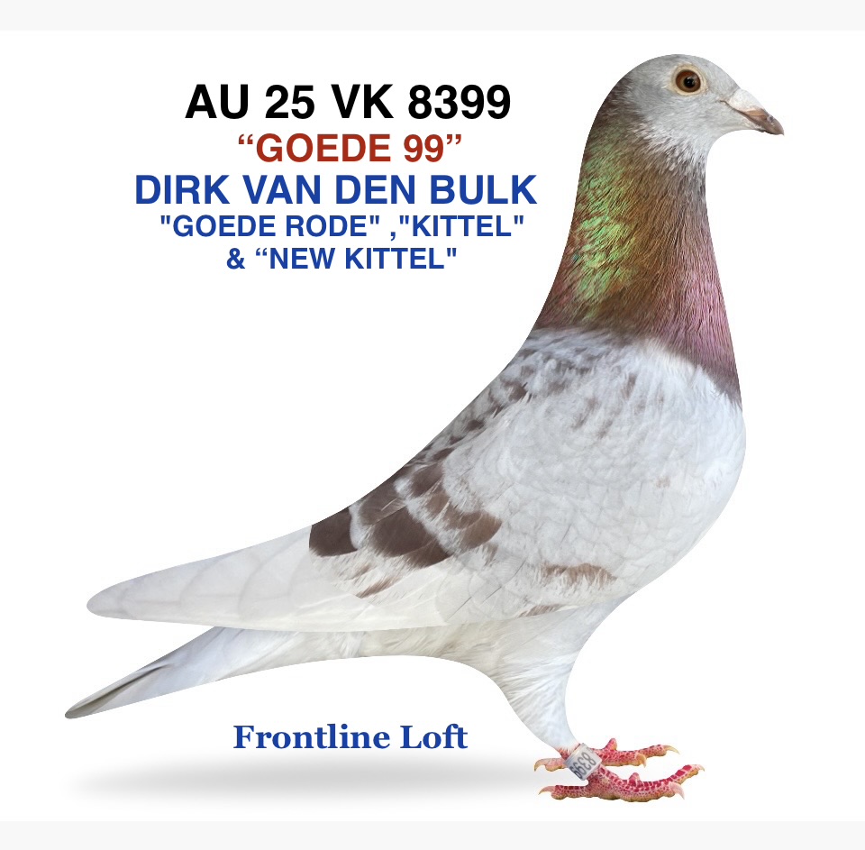 "GOEDE RODE" ,"KITTEL" & "NEW KITTEL"