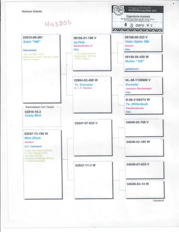 Preview Image 6