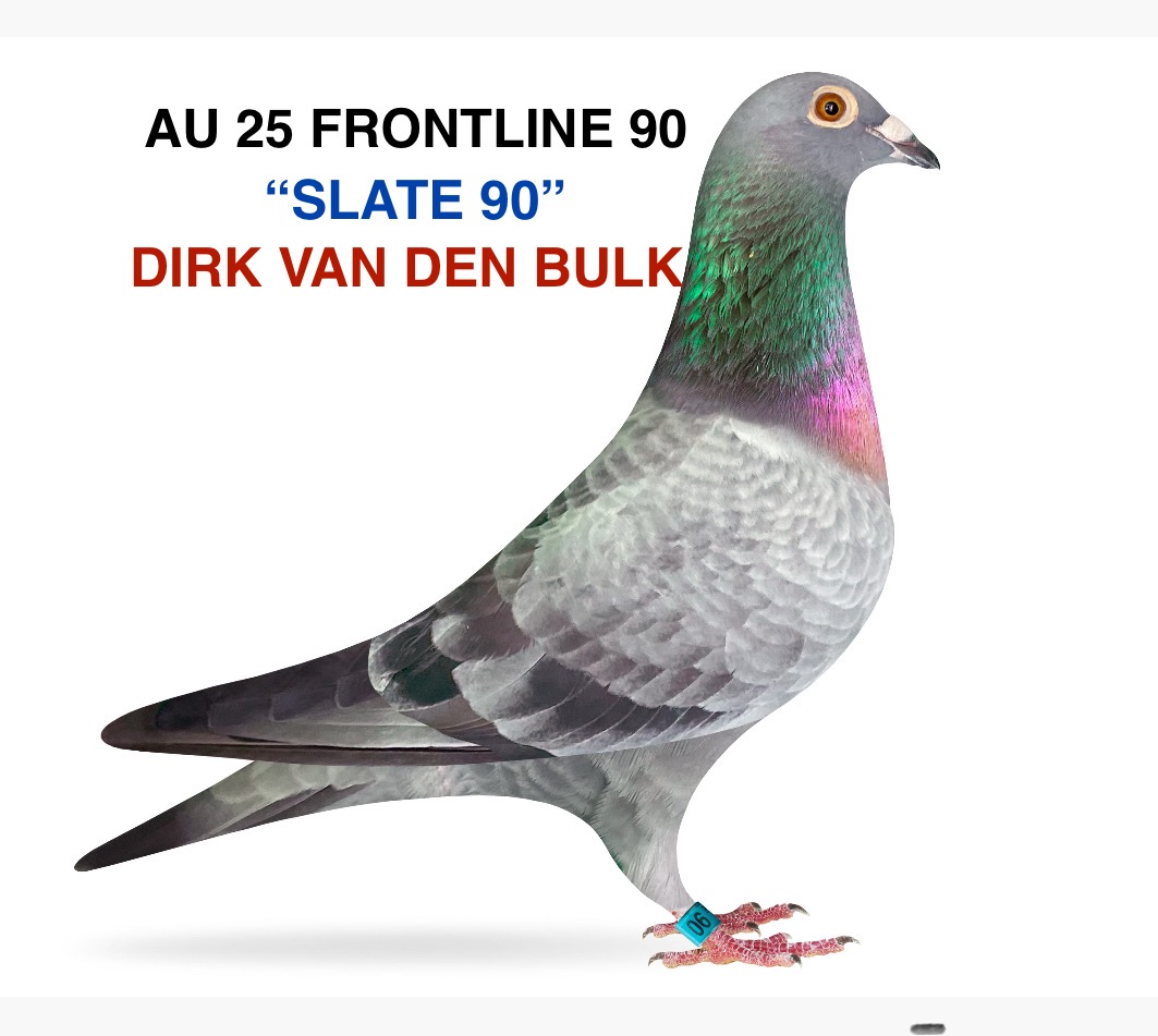 DIRK VAN DEN BULK