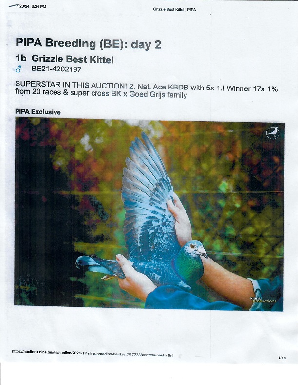 Preview Image 15