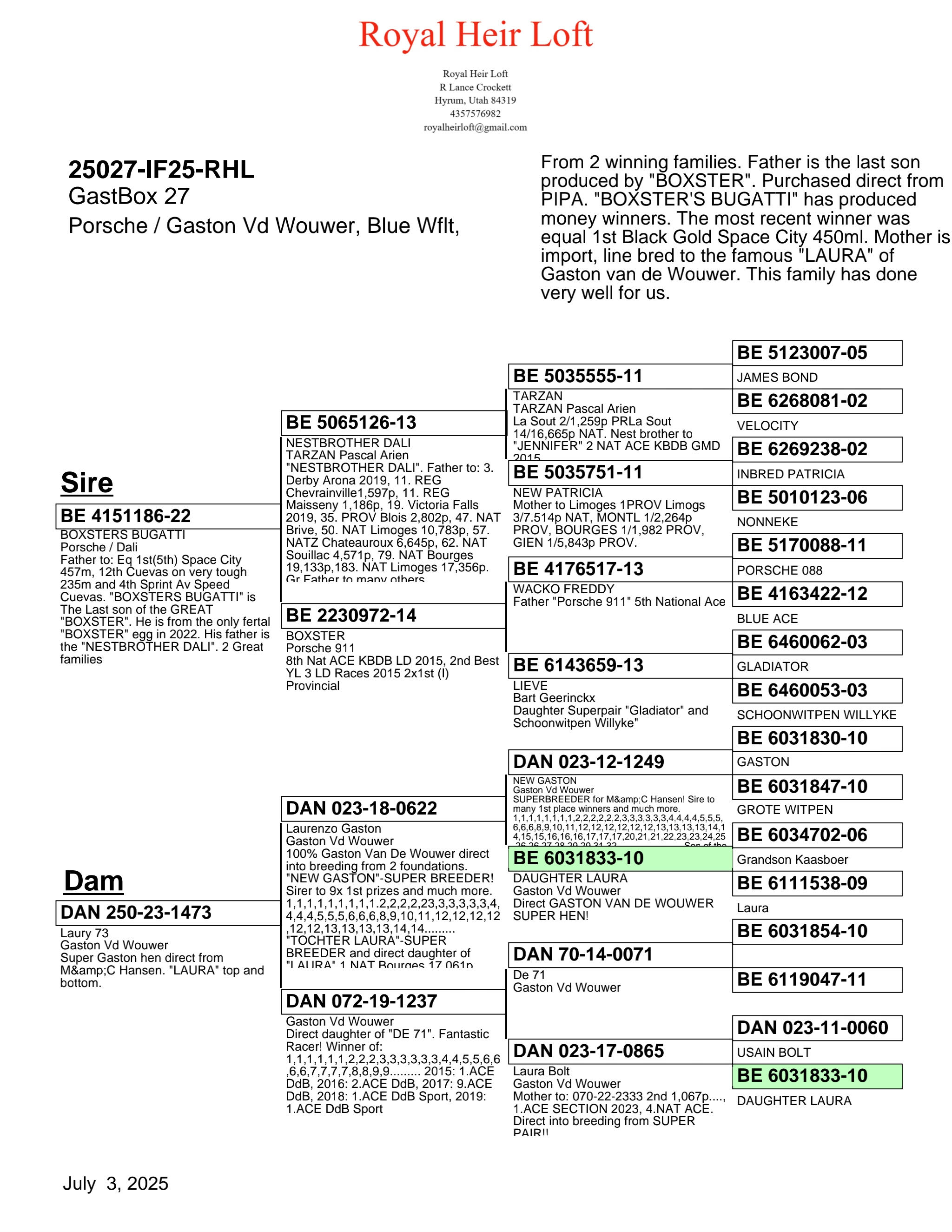 25027-IF25-RHL Blue WF Hen