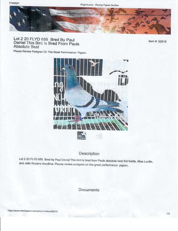 Preview Image 5