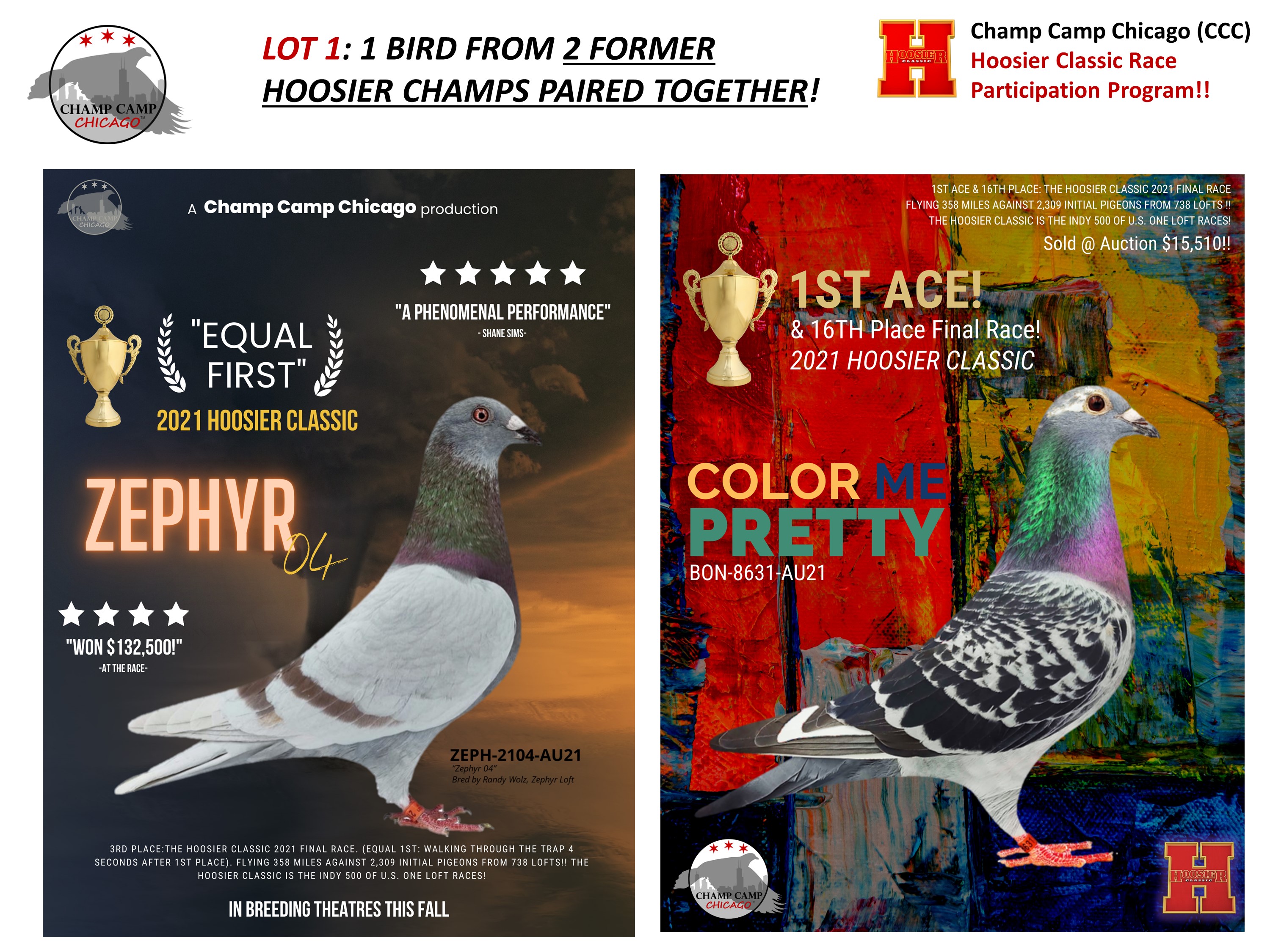 iPigeon.com - Racing Pigeon Auction