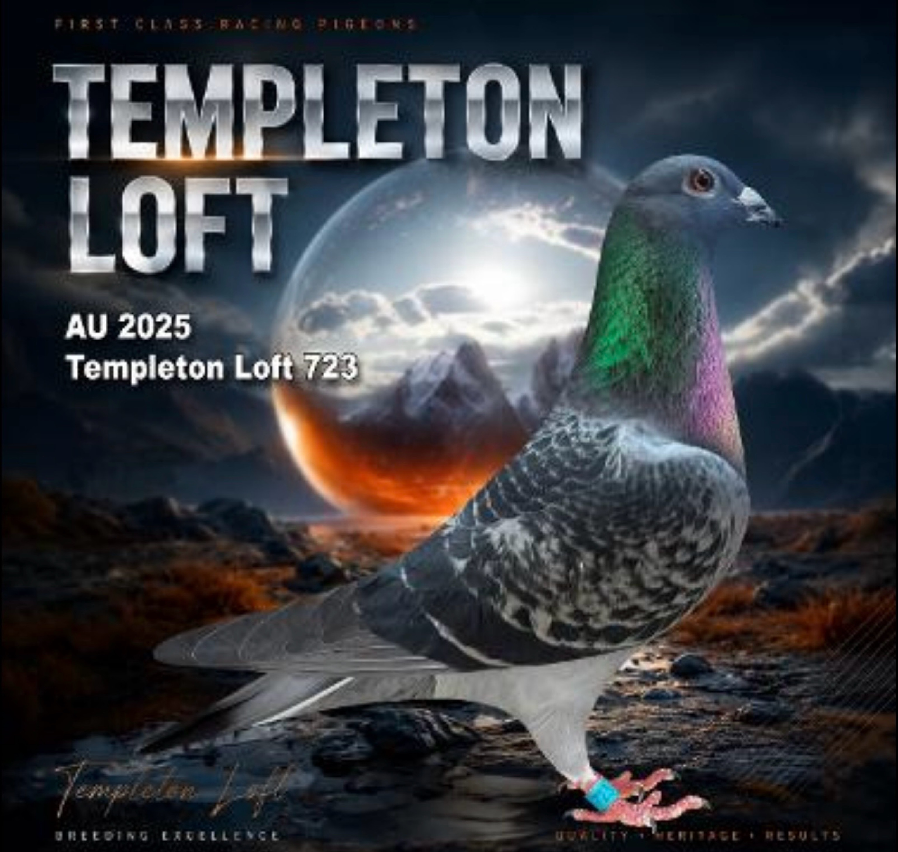 Templeton loft 2025/723 full DNA