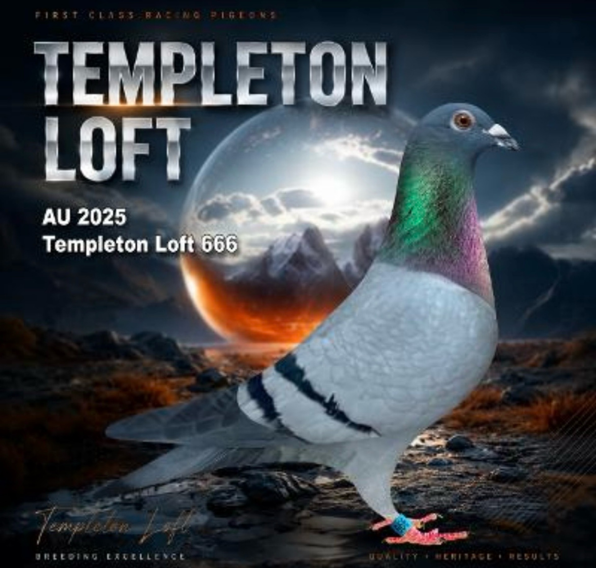 Templeton loft 2025/666 Full DNA