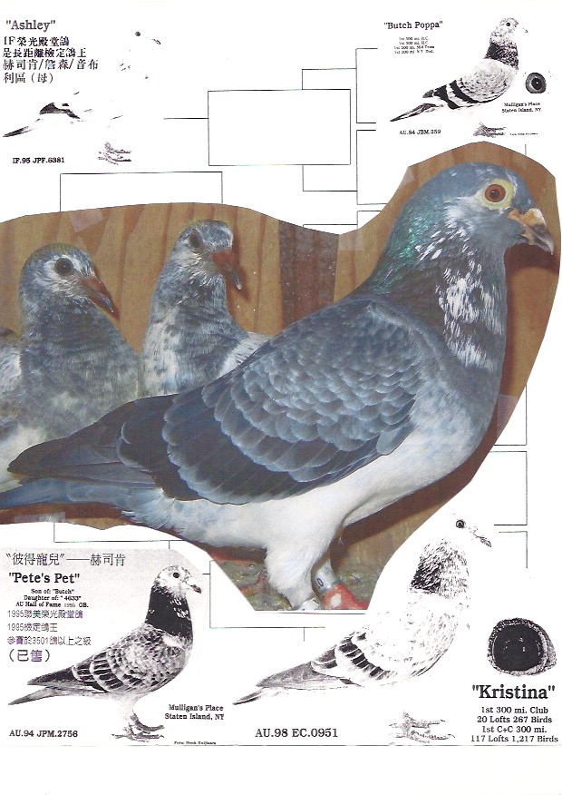 Preview Image 2