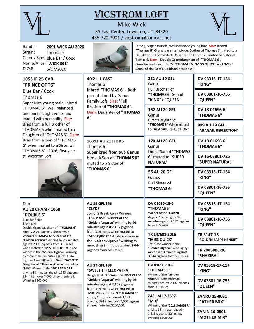 Preview Image 3