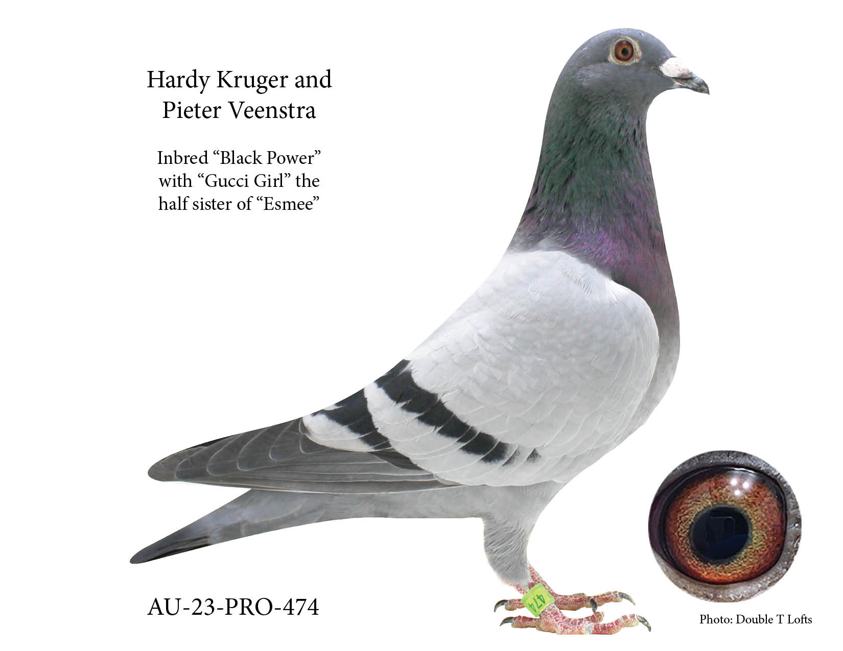 PRO 23-474 Inbred "Black Power" 