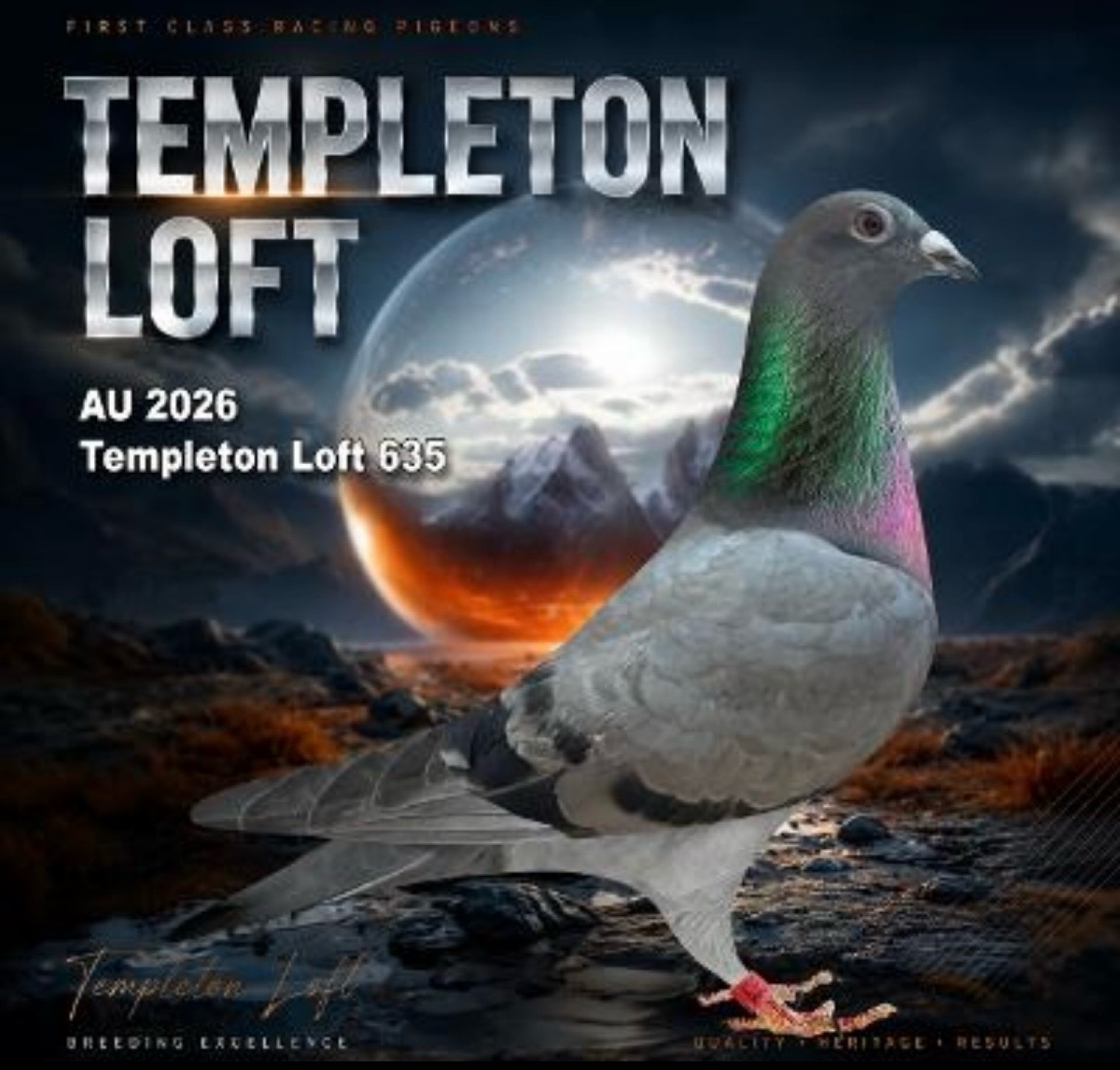 Templeton loft 2026/635 Full DNA