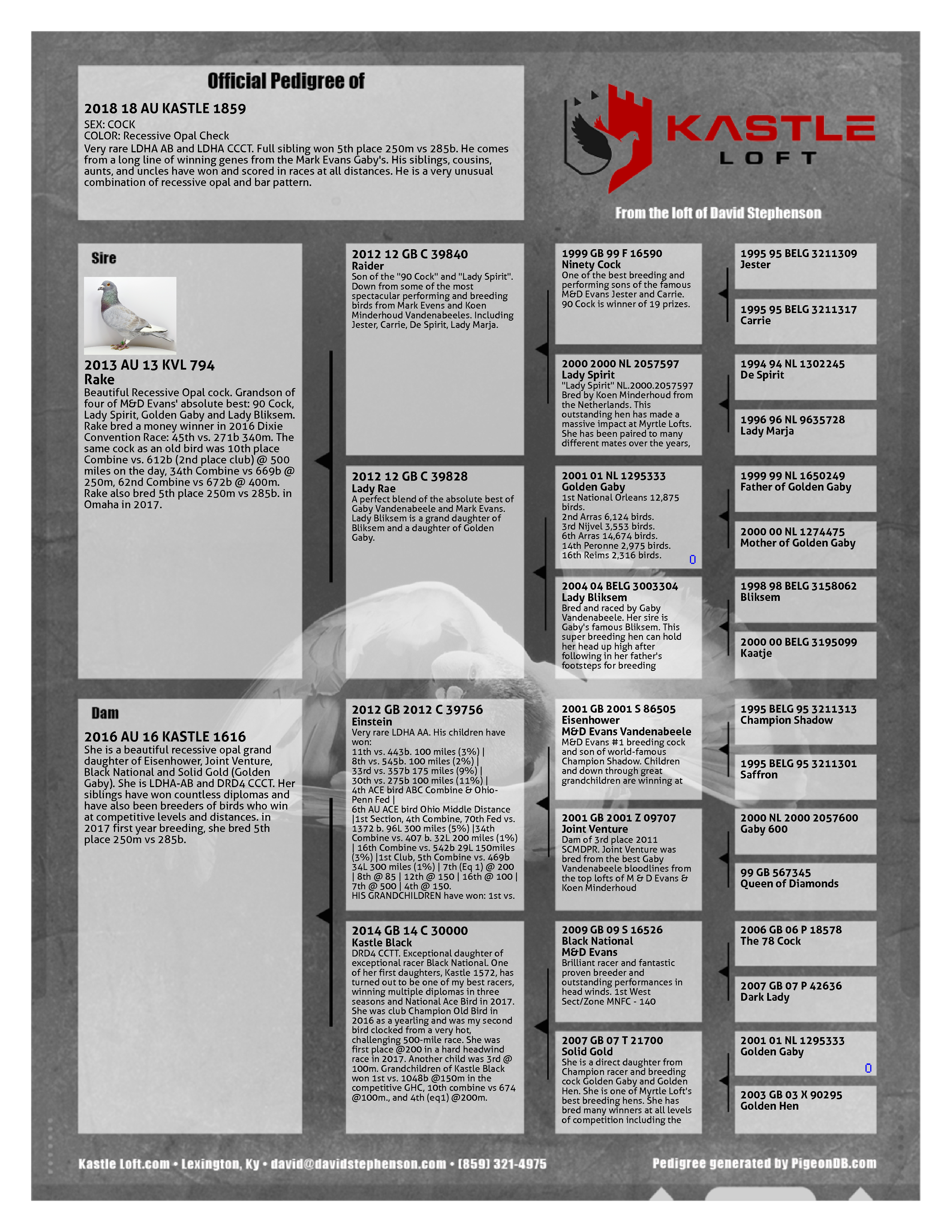 Preview Image 2