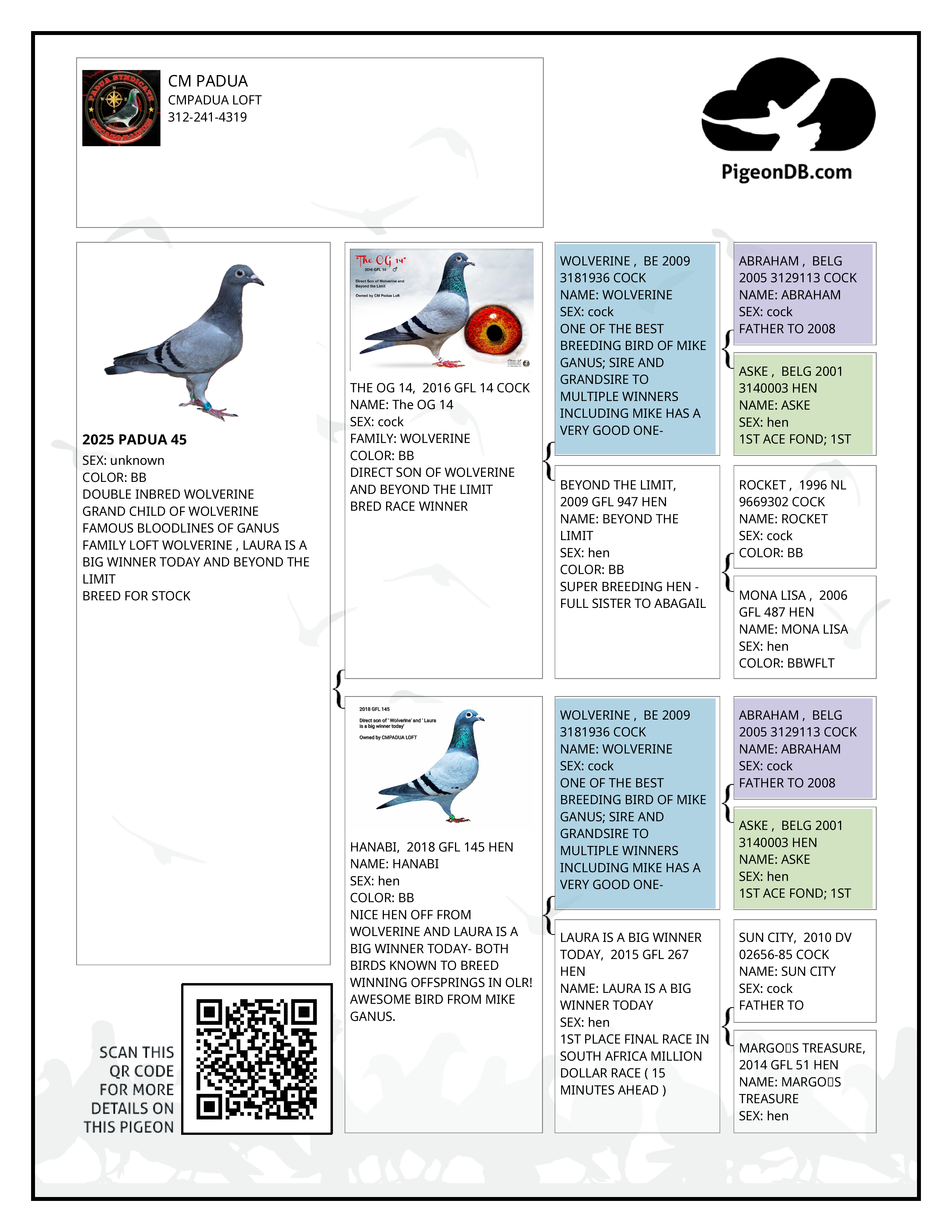 INBRED WOLVERINE HEN