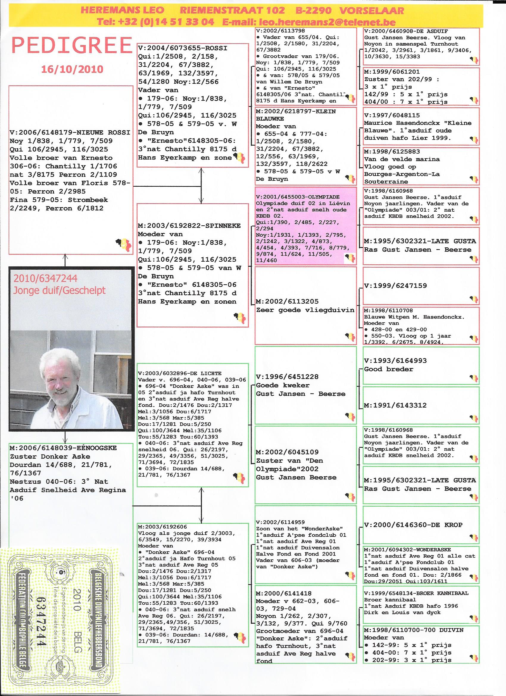Preview Image 6