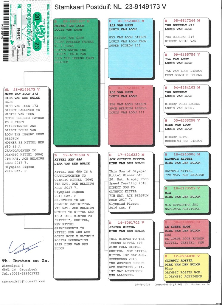 Preview Image 3