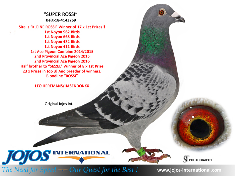 LOT #2 Belg-18-4143269