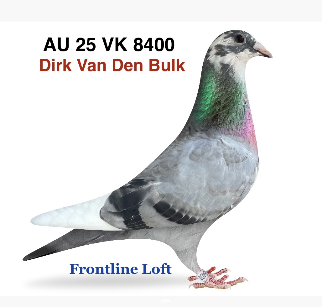 DIRK VAN DEN BULK 