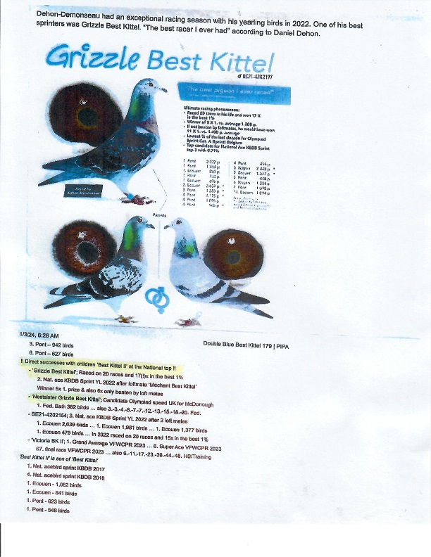 iPigeon.com - Racing Pigeon Auction