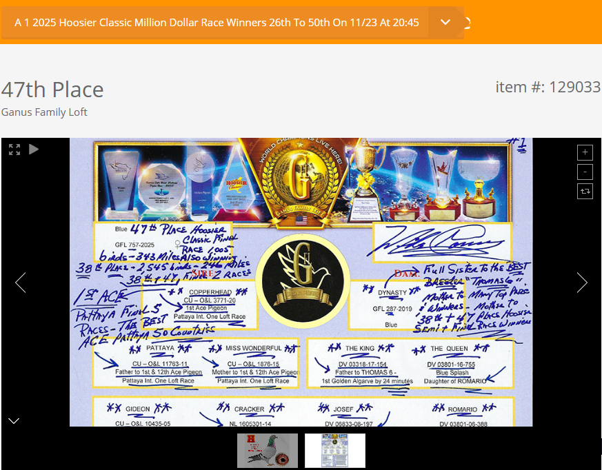 Preview Image 7