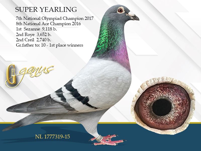 GFL 232-2025 Check Male