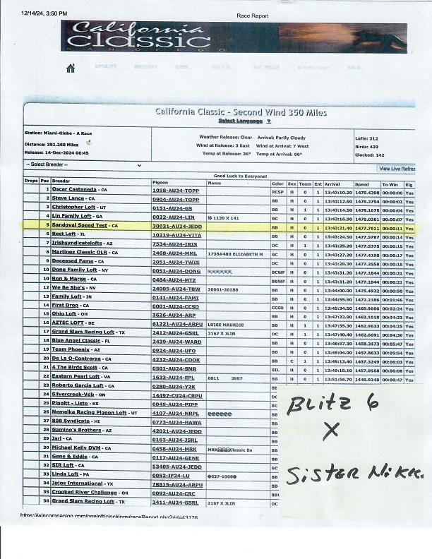 Preview Image 12