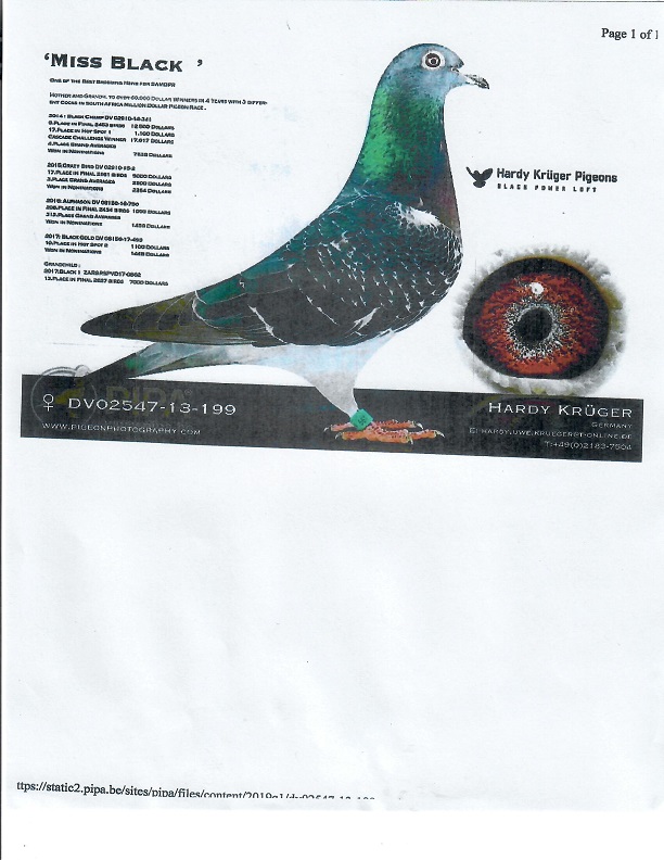 Preview Image 8