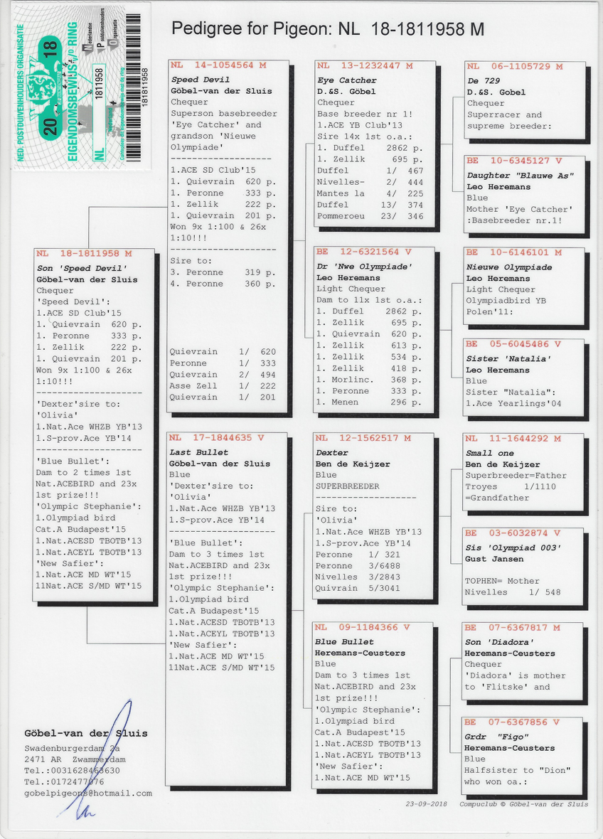 Preview Image 2