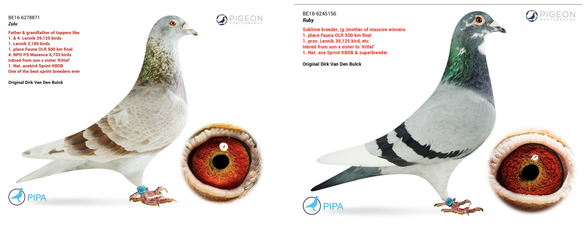 Preview Image 3