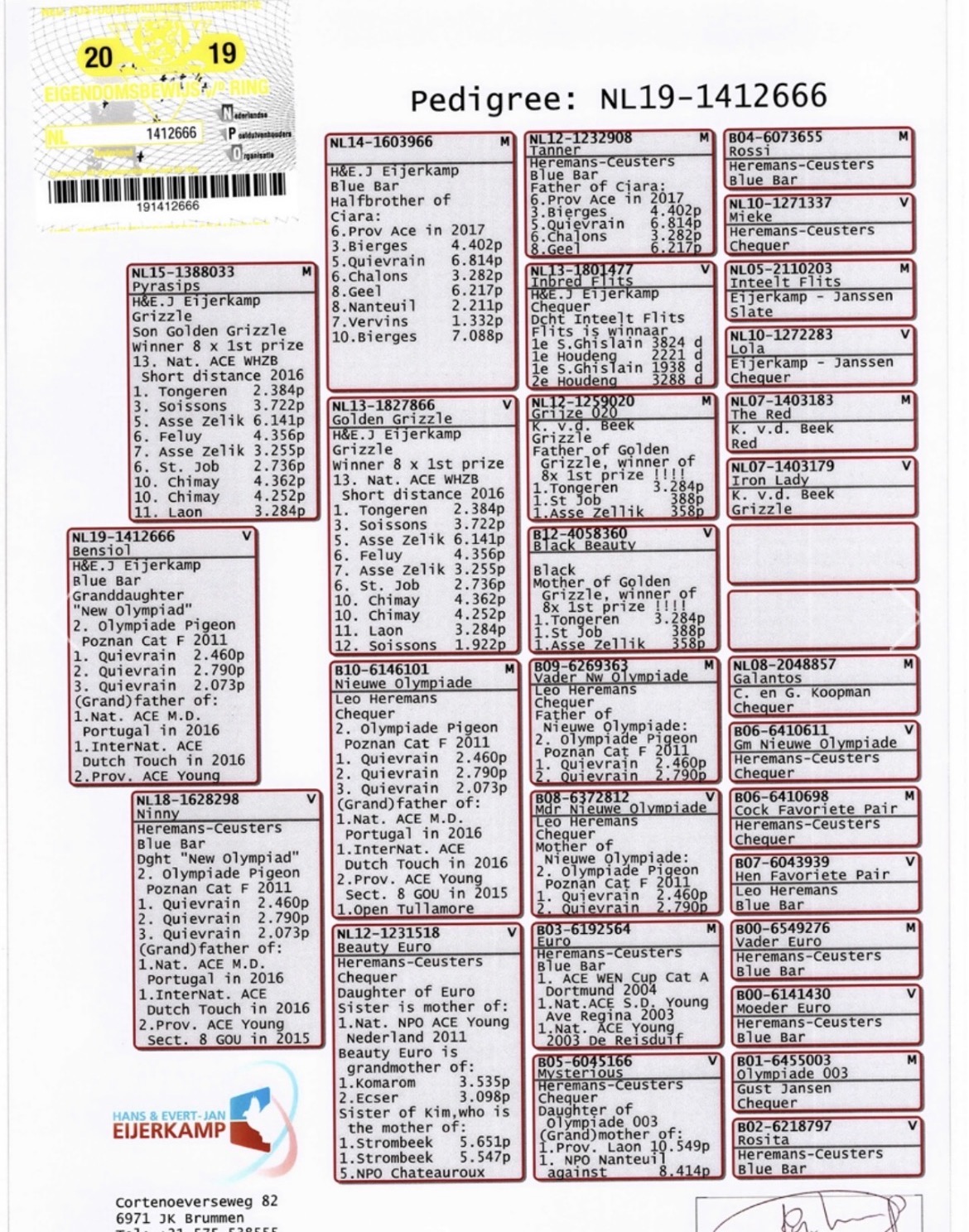 Ton. Bosua
Hereman-Custers
"Jonge Piet "
"New Olympiad"