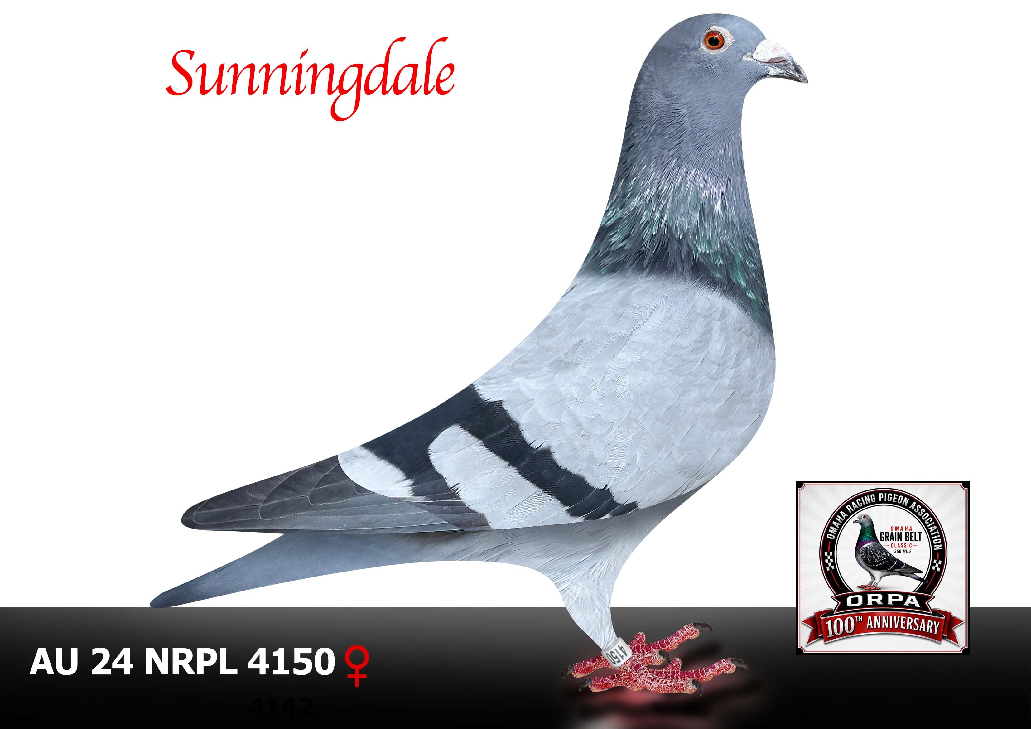 AU 24 NRPL 4150 Hen