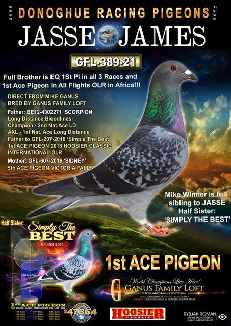 ROCKET BLOOD X GFL HOOSIER ACE FAMILY 1 ST ACE 