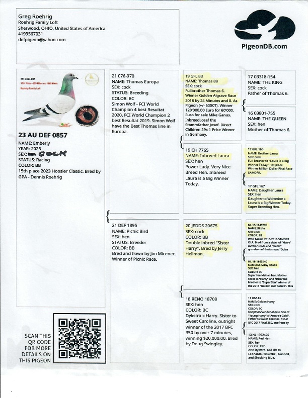 Preview Image 4