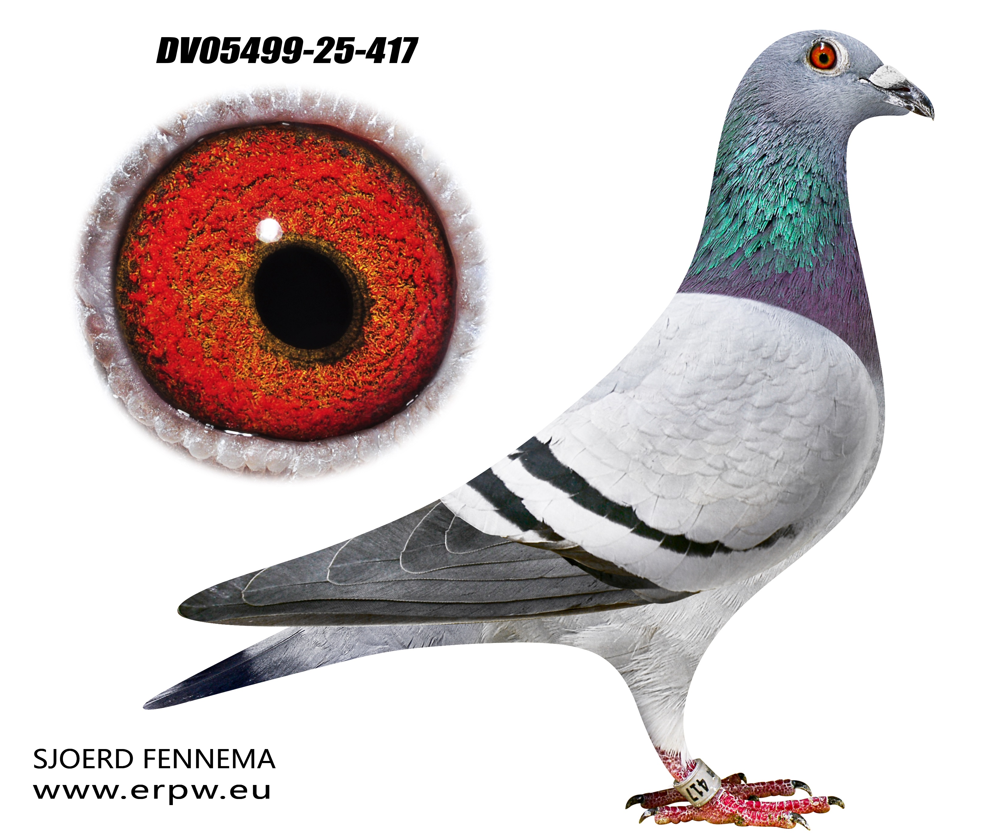 Dirk Van den Bulck Hen