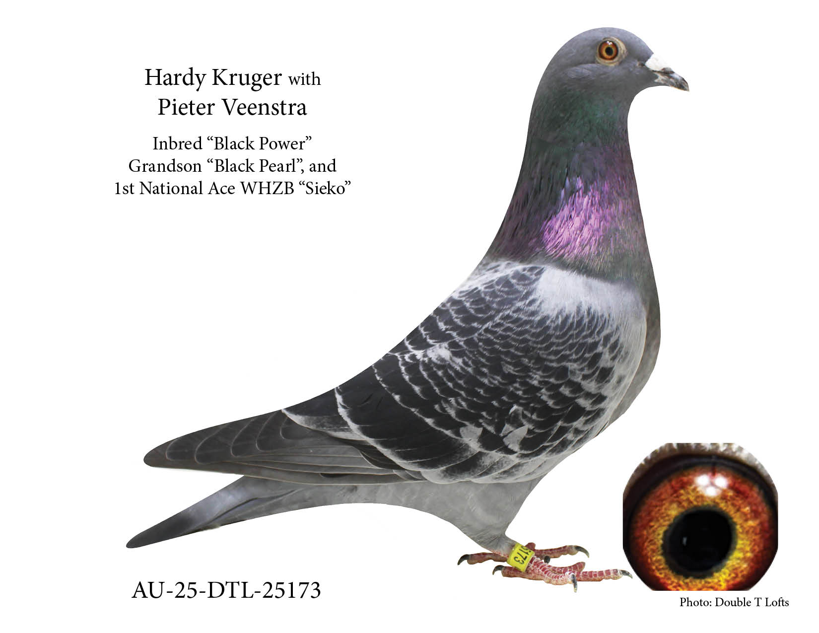 Hardy Kruger and Pieter Veenstra