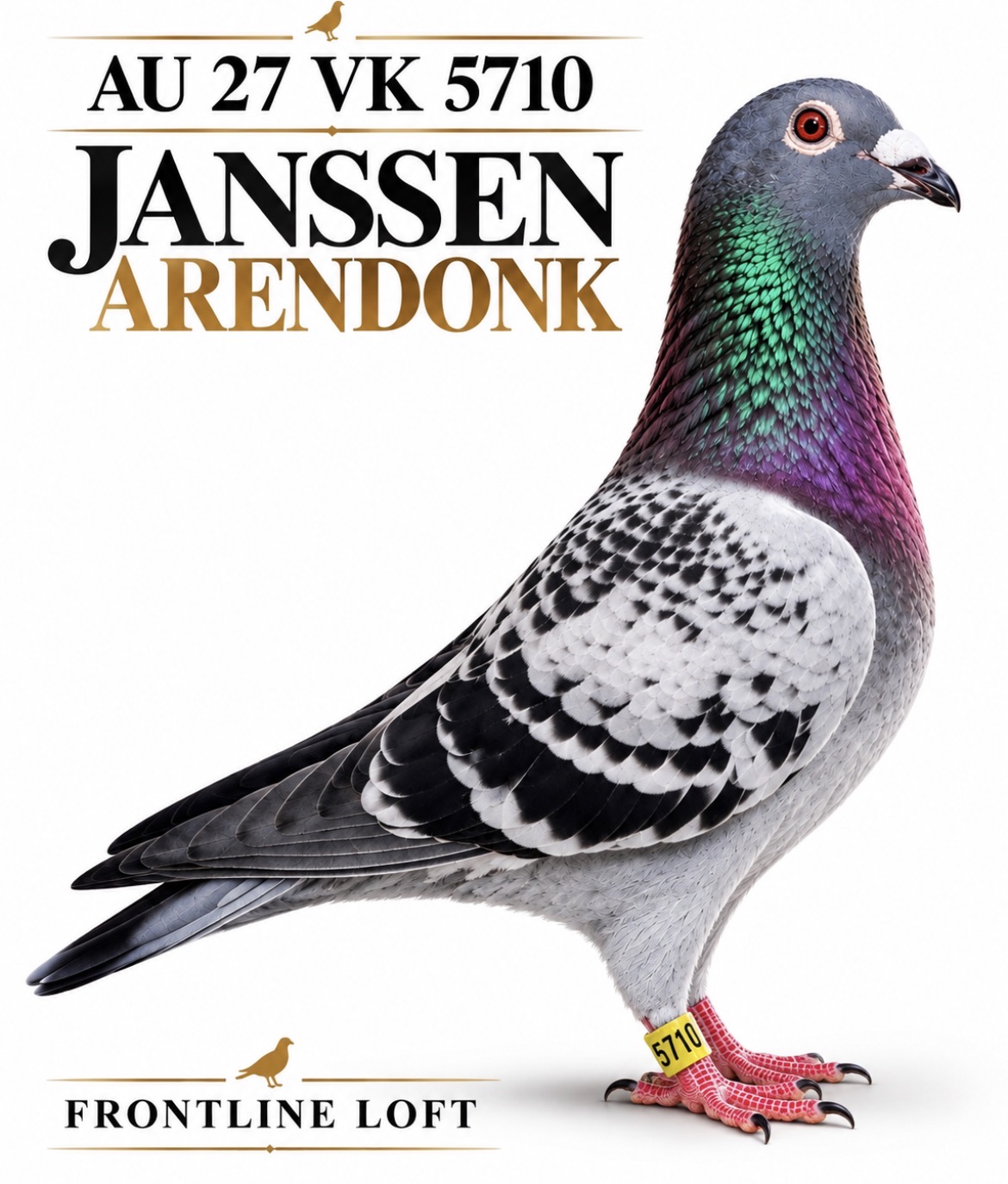 JANSSEN ARENDONK 