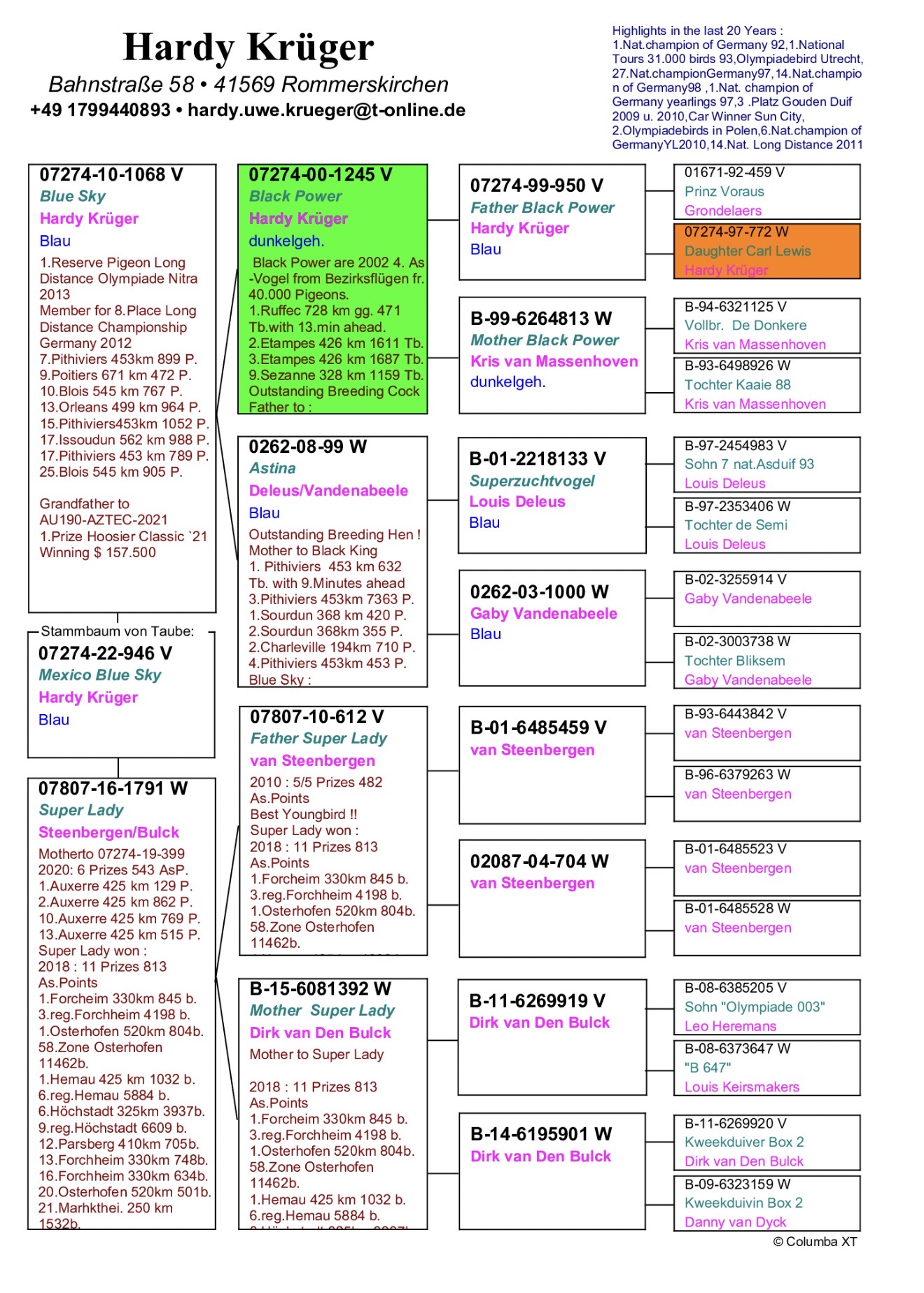 Preview Image 2