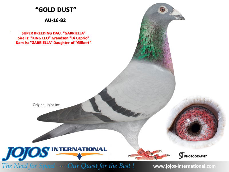 LOT # 39 AU-20-78267