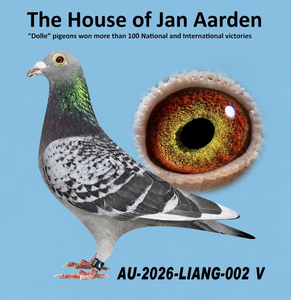 J. van Alphen--Jan Aarden 