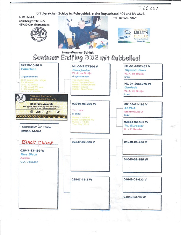 Preview Image 4