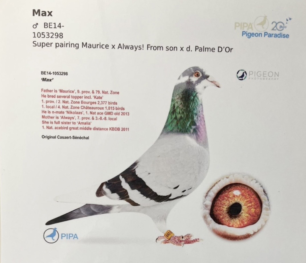 Nemelka Racing Pigeon Loft