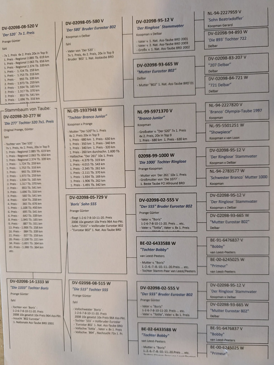 Preview Image 3
