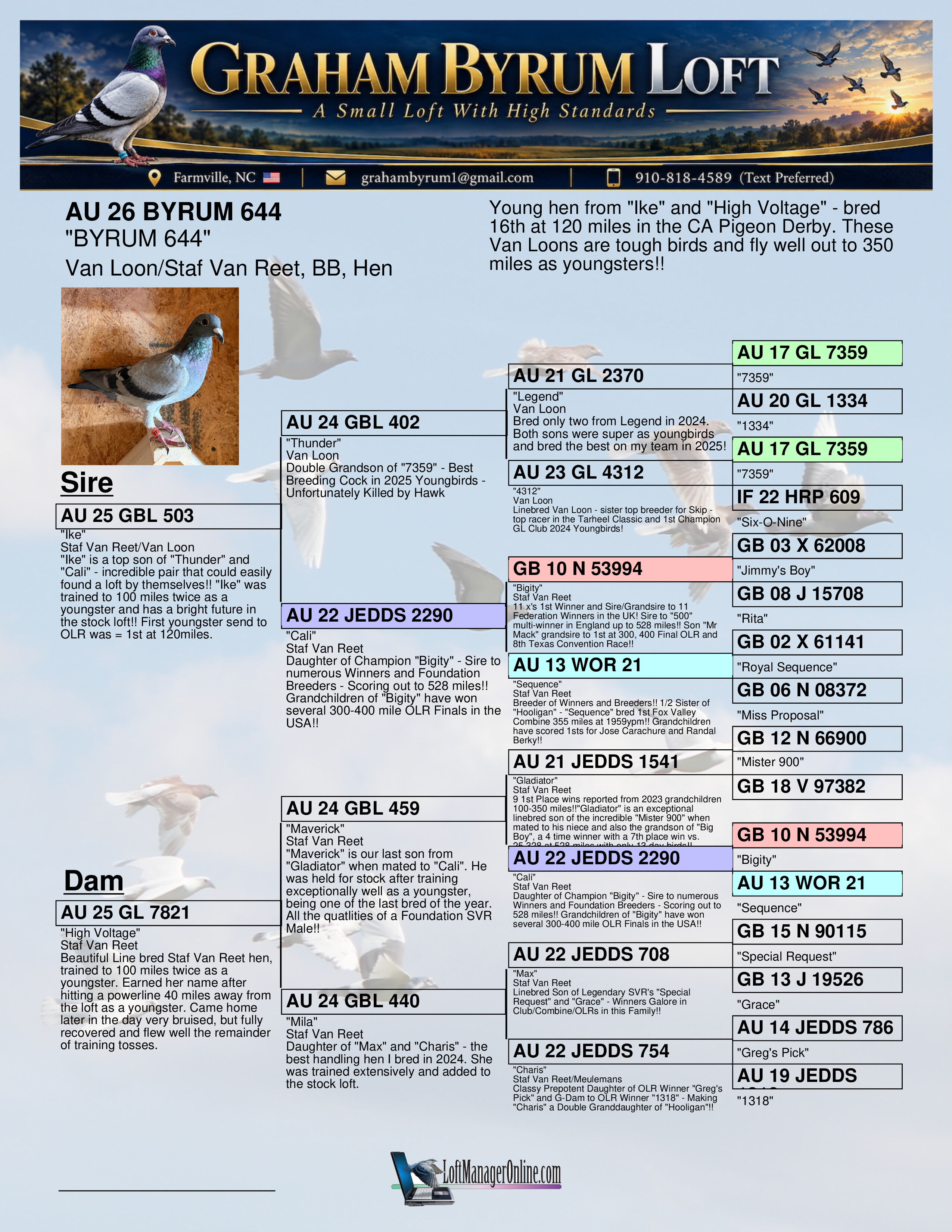 AU 26 BYRUM 644 BB Hen