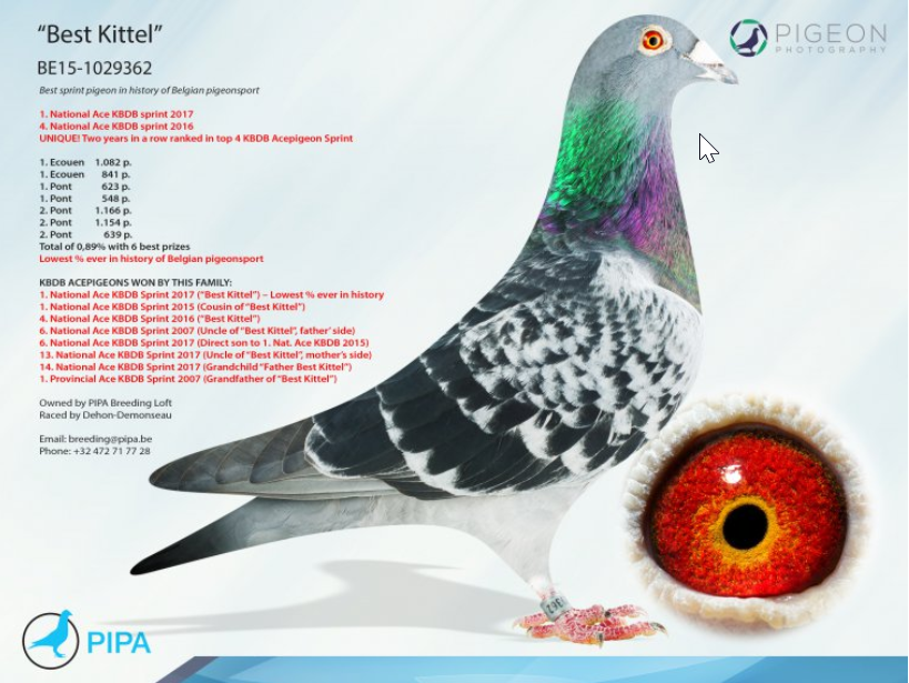 Preview Image 3