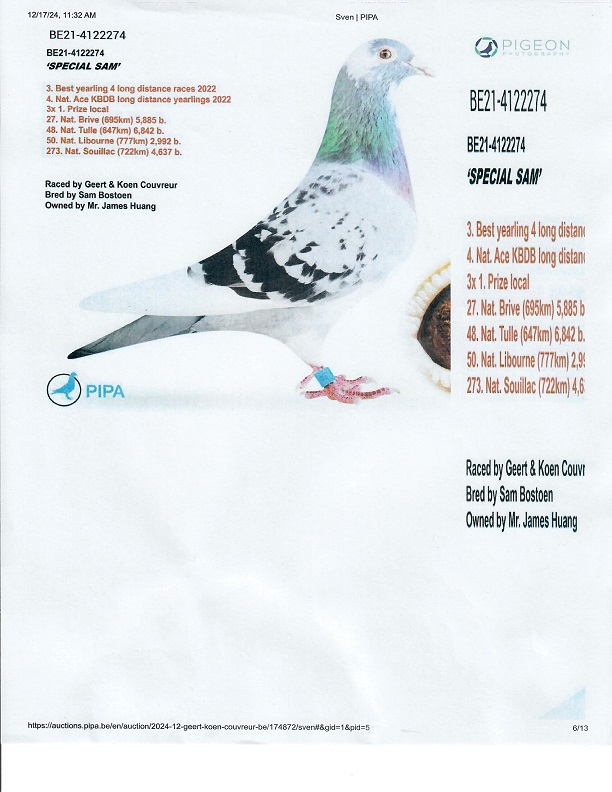 Preview Image 13