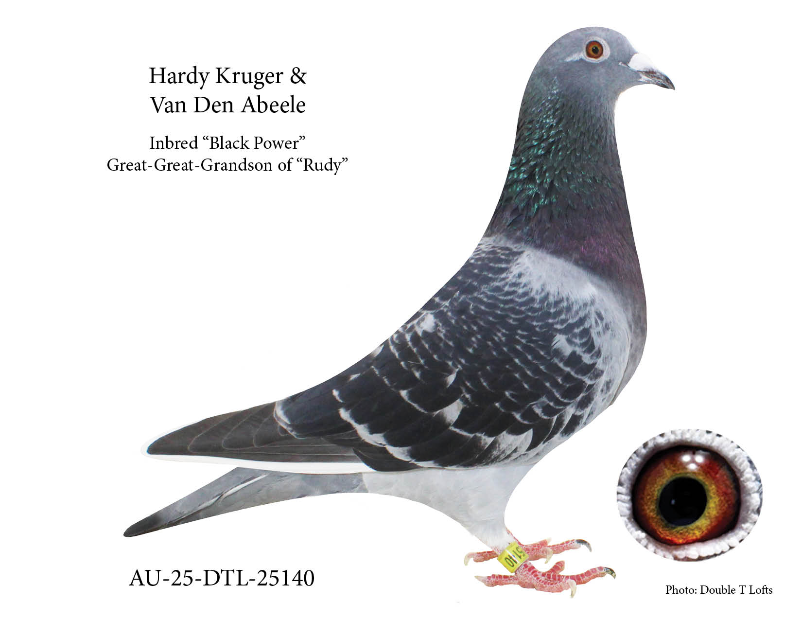 Hardy Kruger & Gaby VanDenAbeele