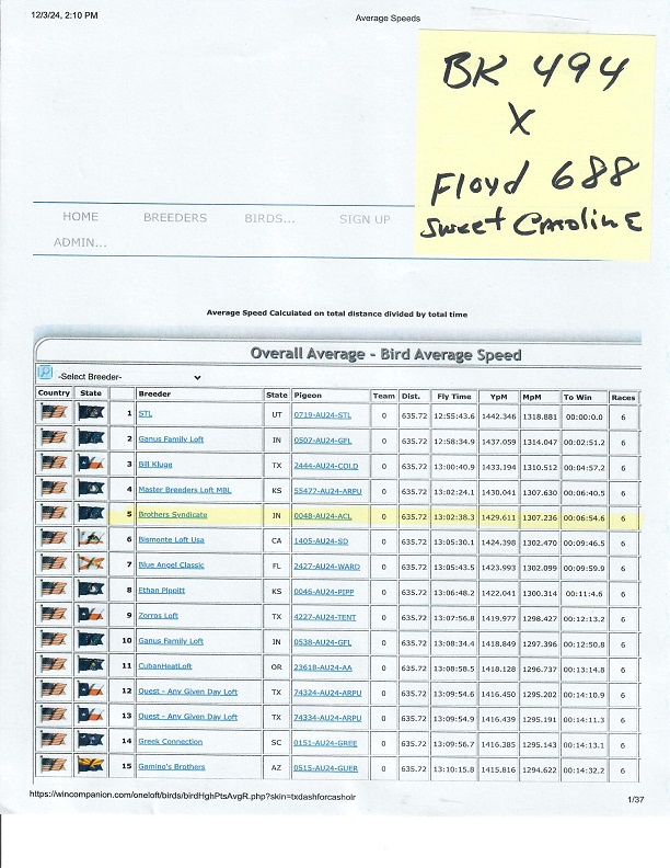 Preview Image 15