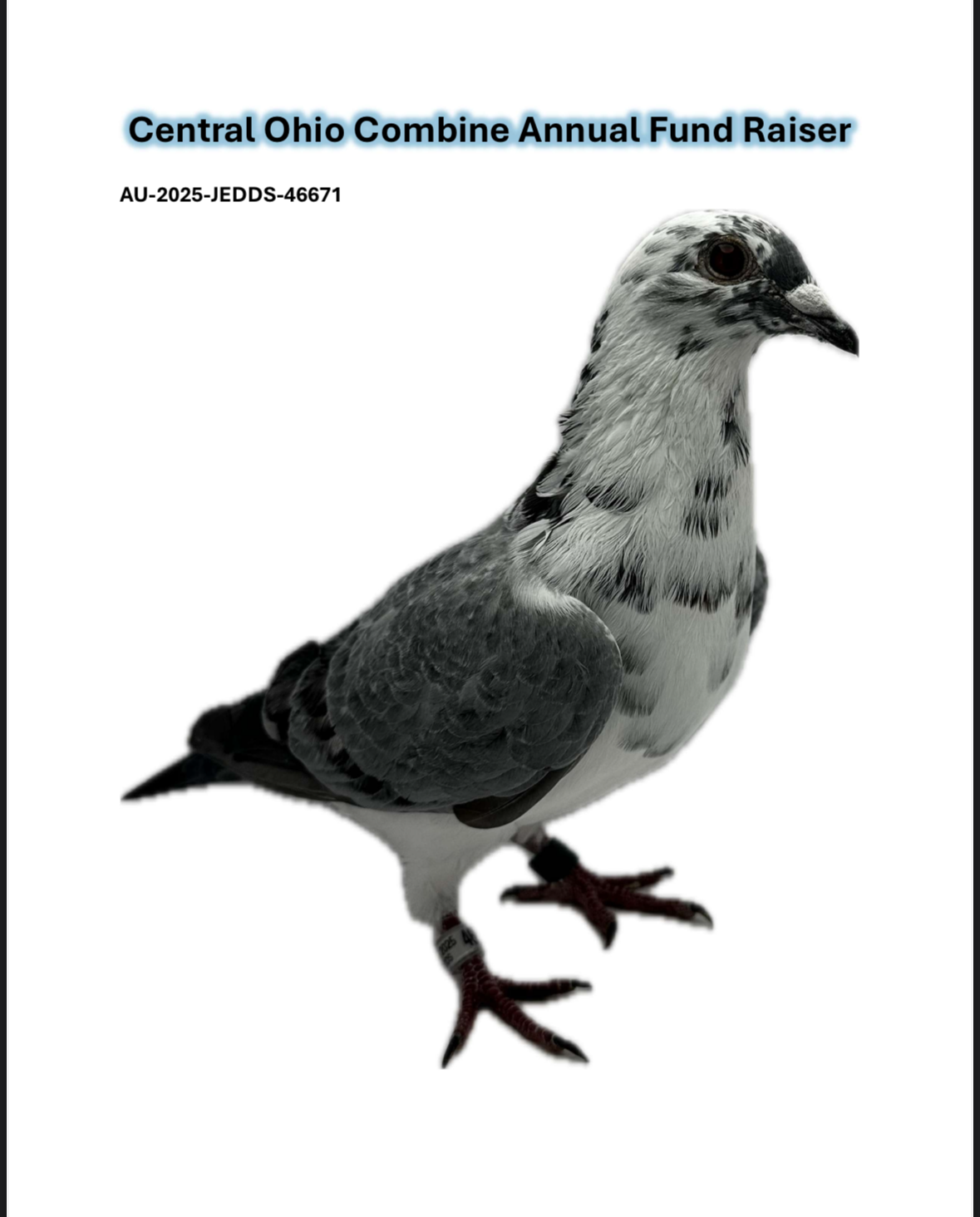 THONE/HERMANS X CLAUSING/VERKERK